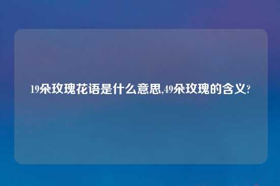 19朵玫瑰花语是什么意思,49朵玫瑰的含义?