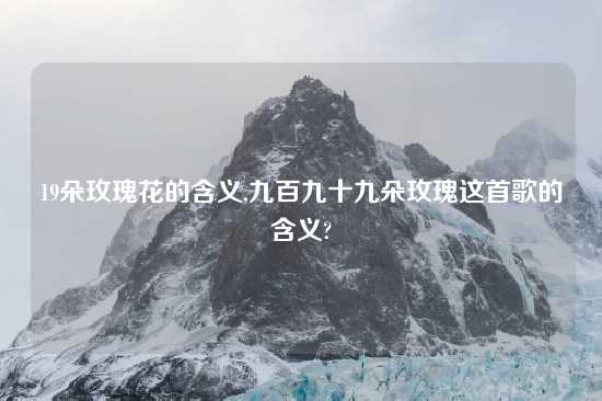 19朵玫瑰花的含义,九百九十九朵玫瑰这首歌的含义?