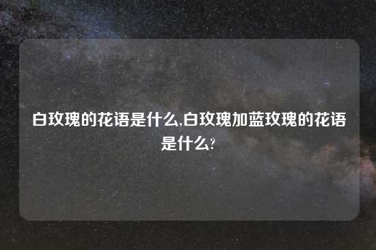 白玫瑰的花语是什么,白玫瑰加蓝玫瑰的花语是什么?