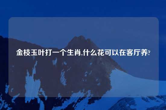 金枝玉叶打一个生肖,什么花可以在客厅养?