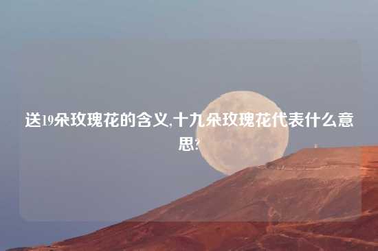 送19朵玫瑰花的含义,十九朵玫瑰花代表什么意思?