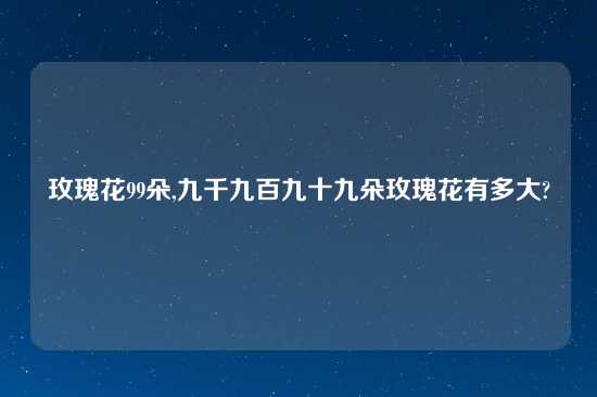 玫瑰花99朵,九千九百九十九朵玫瑰花有多大?