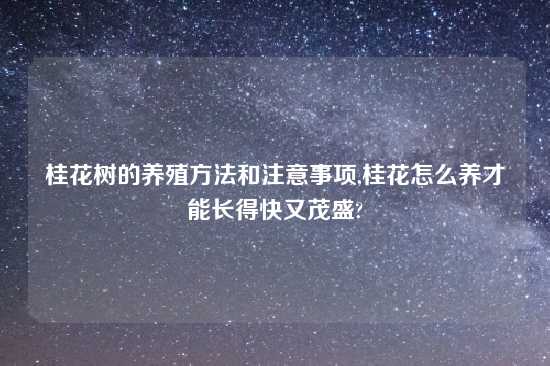 桂花树的养殖方法和注意事项,桂花怎么养才能长得快又茂盛?