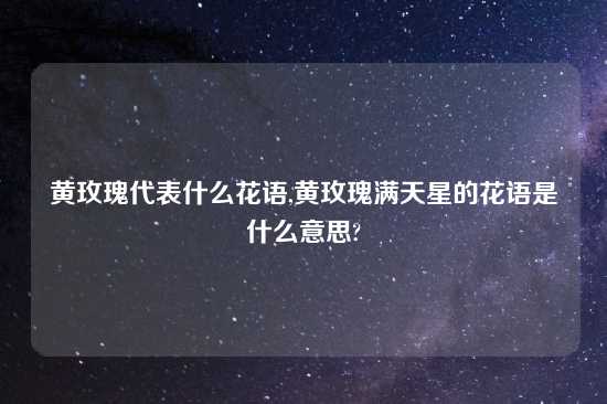 黄玫瑰代表什么花语,黄玫瑰满天星的花语是什么意思?