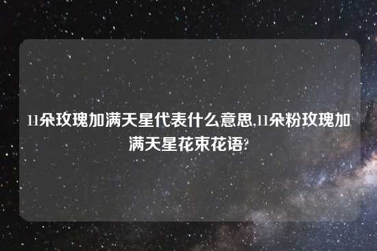 11朵玫瑰加满天星代表什么意思,11朵粉玫瑰加满天星花束花语?