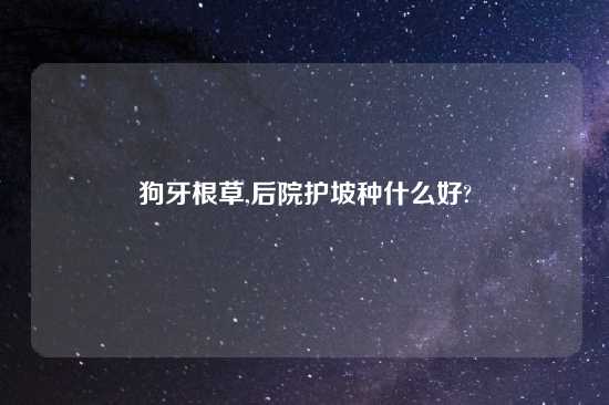 狗牙根草,后院护坡种什么好?