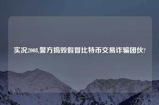 实况2008,警方捣毁假冒比特币交易诈骗团伙?