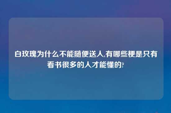 白玫瑰为什么不能随便送人,有哪些梗是只有看书很多的人才能懂的?