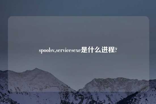 spoolsv,servicesexe是什么进程?