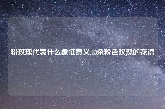 粉玫瑰代表什么象征意义,13朵粉色玫瑰的花语?