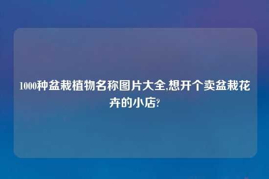 1000种盆栽植物名称图片大全,想开个卖盆栽花卉的小店?