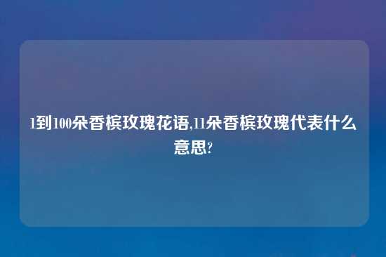 1到100朵香槟玫瑰花语,11朵香槟玫瑰代表什么意思?