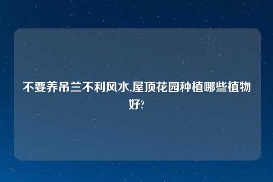 不要养吊兰不利风水,屋顶花园种植哪些植物好?