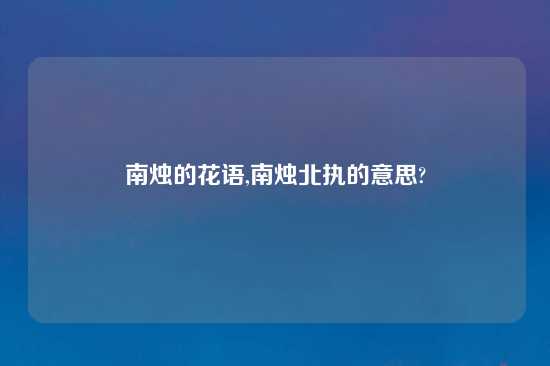 南烛的花语,南烛北执的意思?