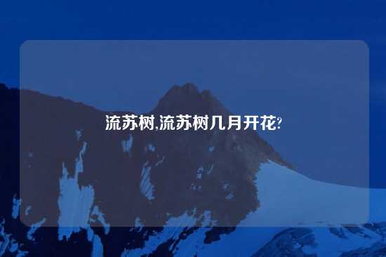 流苏树,流苏树几月开花?