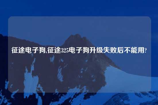 征途电子狗,征途325电子狗升级失败后不能用?