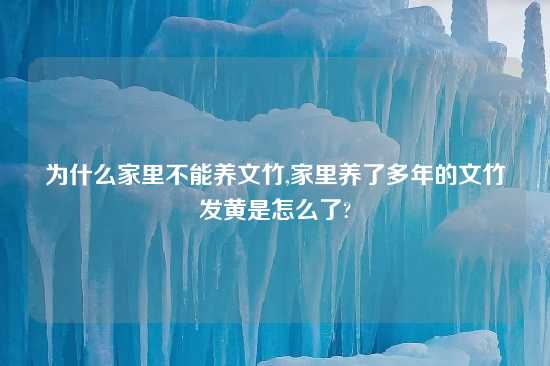 为什么家里不能养文竹,家里养了多年的文竹发黄是怎么了?