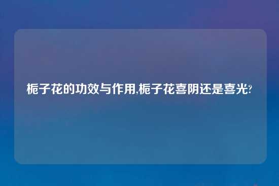 栀子花的功效与作用,栀子花喜阴还是喜光?