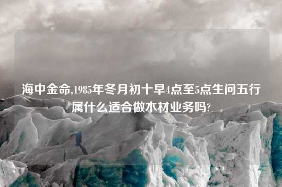 海中金命,1985年冬月初十早4点至5点生问五行属什么适合做木材业务吗?