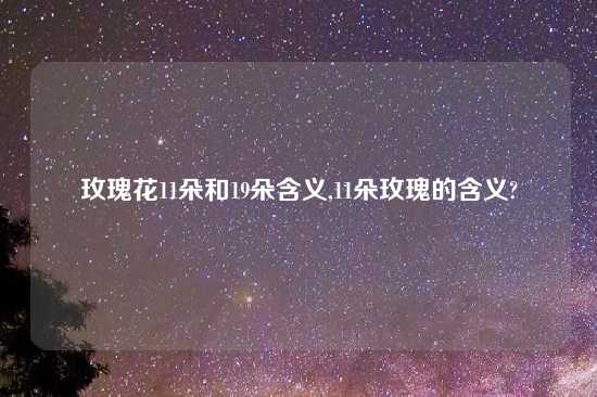 玫瑰花11朵和19朵含义,11朵玫瑰的含义?