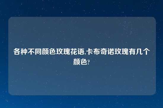 各种不同颜色玫瑰花语,卡布奇诺玫瑰有几个颜色?