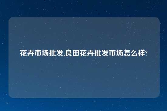 花卉市场批发,良田花卉批发市场怎么样?