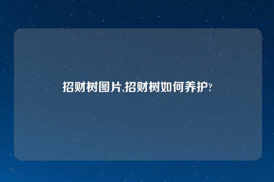 招财树图片,招财树如何养护?