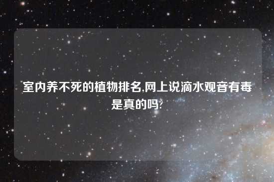 室内养不死的植物排名,网上说滴水观音有毒是真的吗?