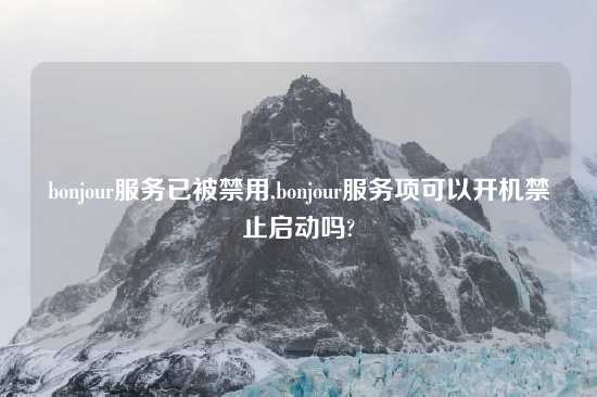 bonjour服务已被禁用,bonjour服务项可以开机禁止启动吗?