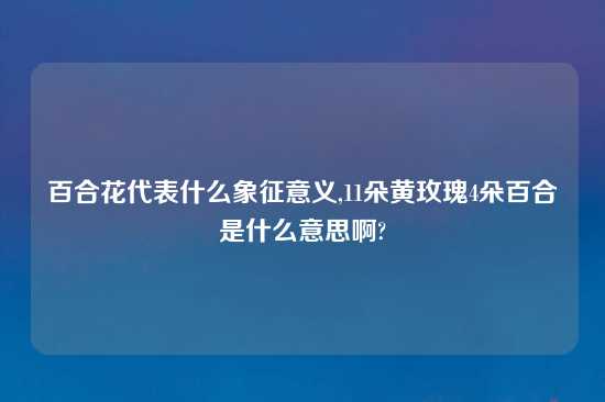 百合花代表什么象征意义,11朵黄玫瑰4朵百合是什么意思啊?