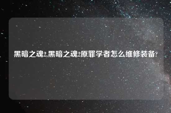 黑暗之魂2,黑暗之魂2原罪学者怎么维修装备?