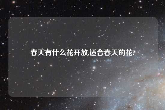 春天有什么花开放,适合春天的花?