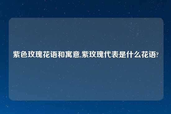 紫色玫瑰花语和寓意,紫玫瑰代表是什么花语?