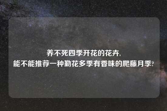 养不死四季开花的花卉,
能不能推荐一种勤花多季有香味的爬藤月季?