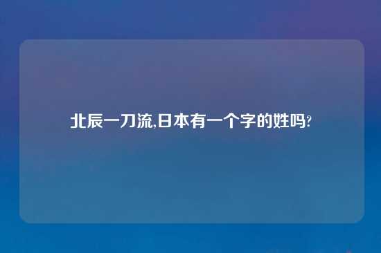 北辰一刀流,日本有一个字的姓吗?