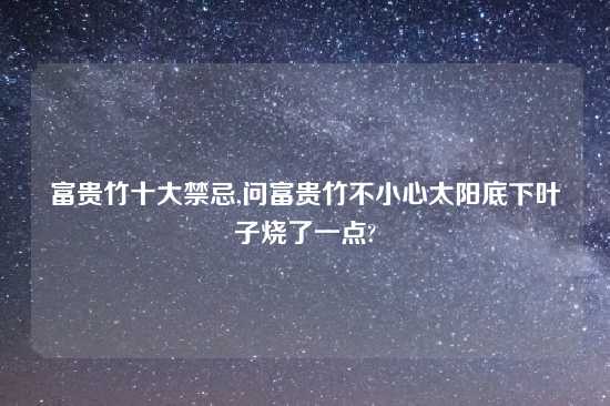 富贵竹十大禁忌,问富贵竹不小心太阳底下叶子烧了一点?