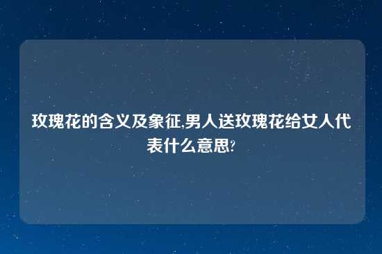 玫瑰花的含义及象征,男人送玫瑰花给女人代表什么意思?