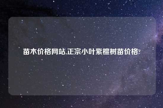 苗木价格网站,正宗小叶紫檀树苗价格?