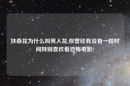 扶桑花为什么叫死人花,你曾经有没有一段时间特别喜欢看恐怖电影?