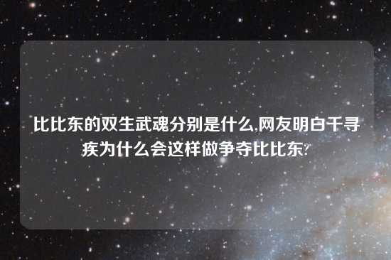 比比东的双生武魂分别是什么,网友明白千寻疾为什么会这样做争夺比比东?