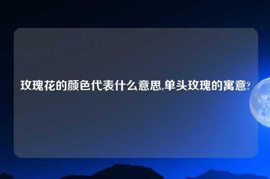 玫瑰花的颜色代表什么意思,单头玫瑰的寓意?