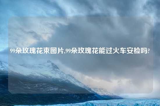 99朵玫瑰花束图片,99朵玫瑰花能过火车安检吗?