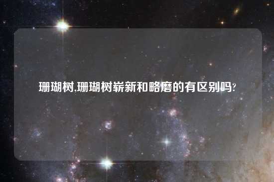 珊瑚树,珊瑚树崭新和略磨的有区别吗?