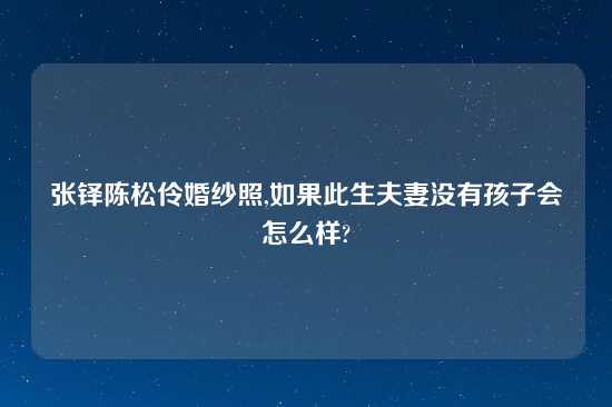 张铎陈松伶婚纱照,如果此生夫妻没有孩子会怎么样?