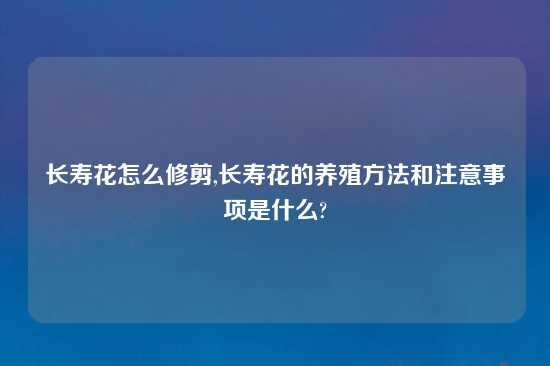 长寿花怎么修剪,长寿花的养殖方法和注意事项是什么?