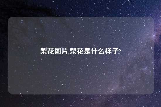 梨花图片,梨花是什么样子?