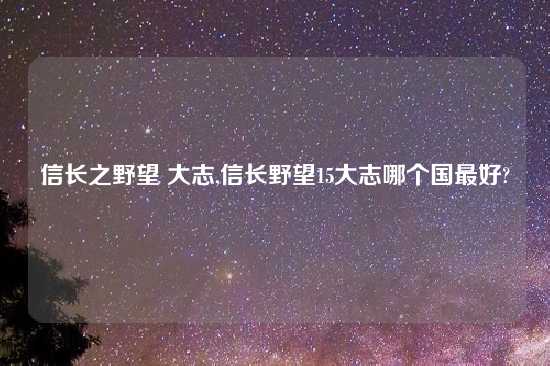 信长之野望 大志,信长野望15大志哪个国最好?