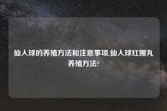 仙人球的养殖方法和注意事项,仙人球红娜丸养殖方法?