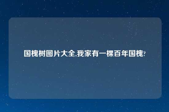 国槐树图片大全,我家有一棵百年国槐?