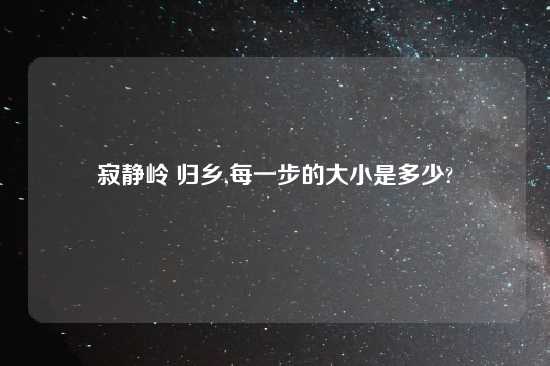 寂静岭 归乡,每一步的大小是多少?